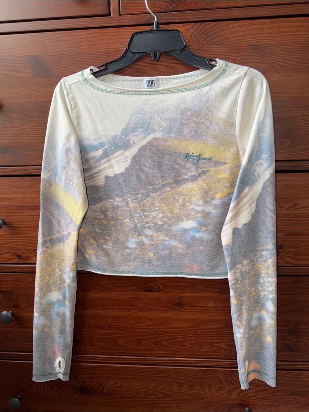 BDG Scenic Pastel Mountain Print Long-Sleeve Crop Top